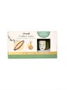 Coffret Signes de Terre